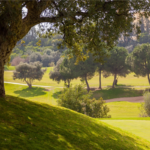 Santa Clara Marbella Golf Course 1